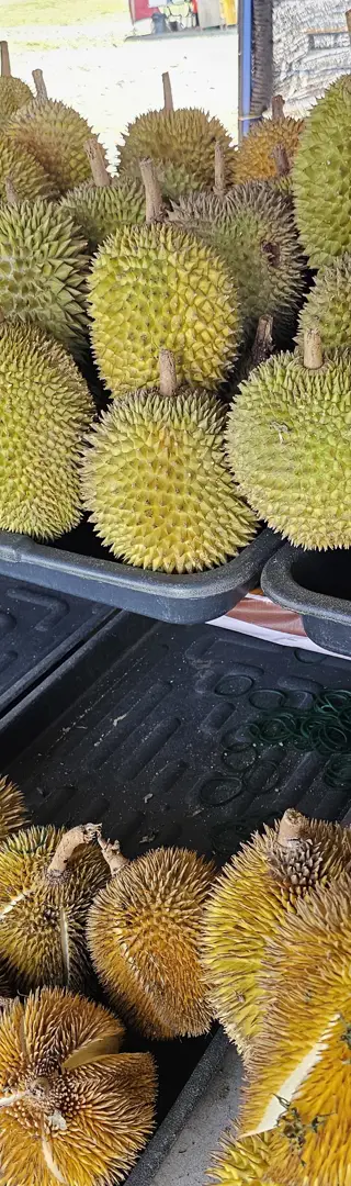Durian – die Frucht, die du probieren solltest
